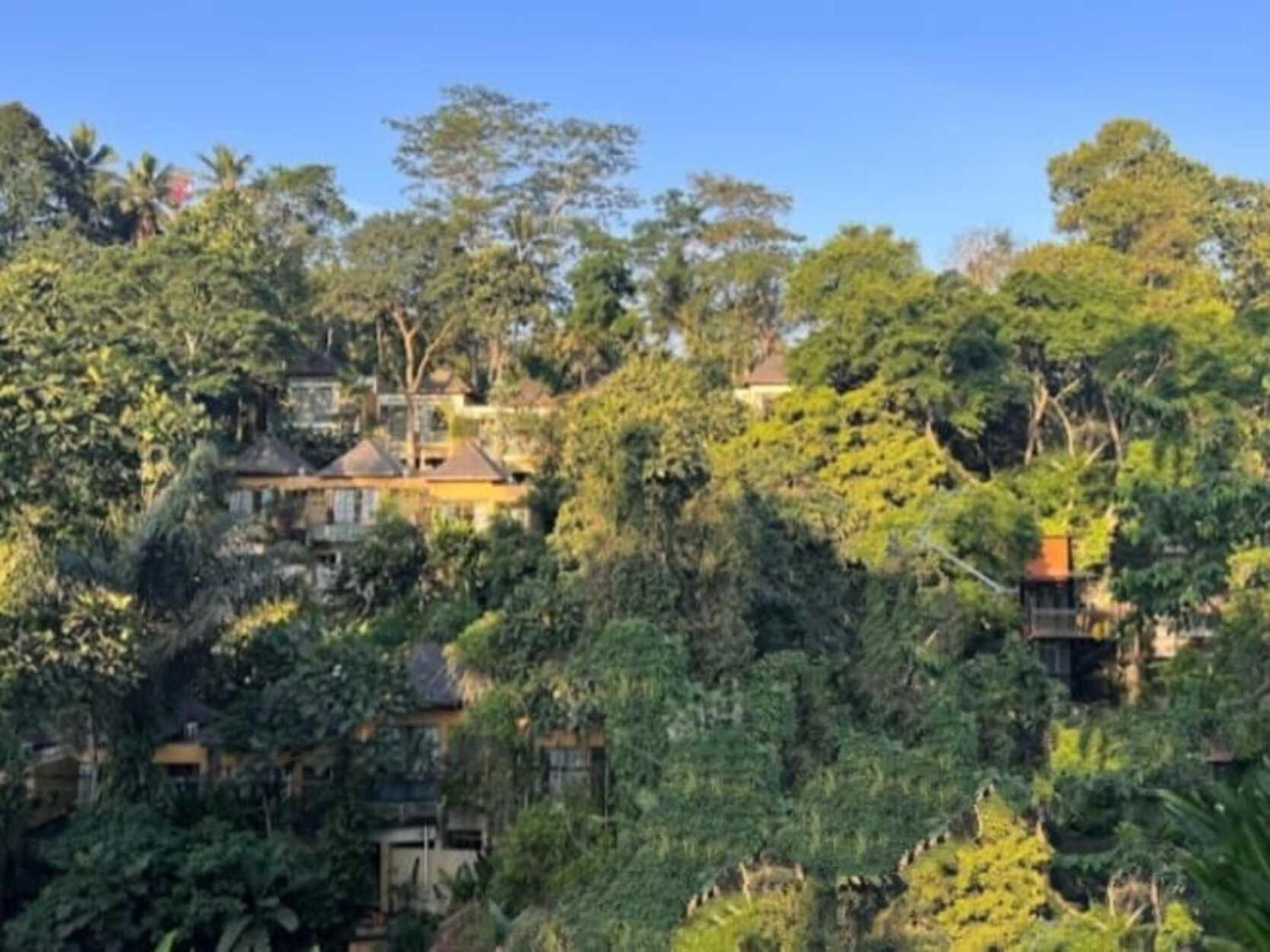 Pondok Kungkang Villa 2 우붓 외부 사진